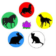animal_acupuncture_logo_wo_circle.jpg